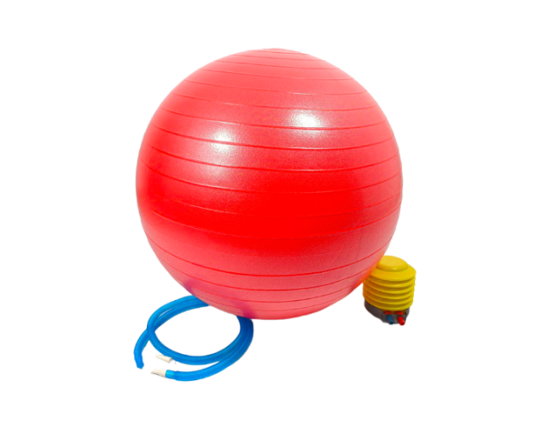 Мяч гимнастический фитбол с насосом AMETIST 55 см.